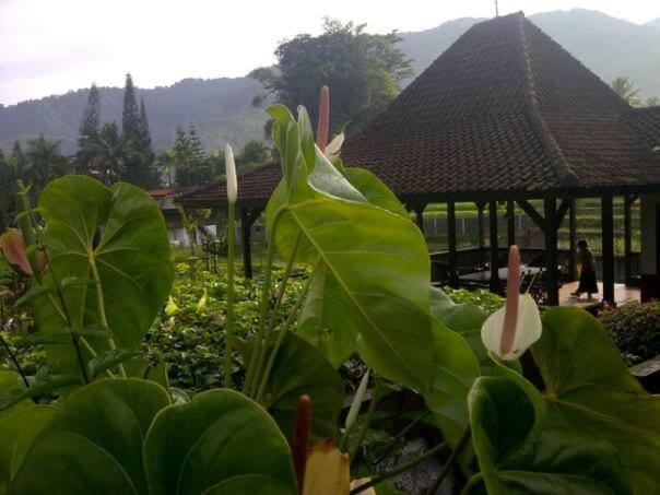 Hotel Grha Kasih à Bogor Extérieur photo